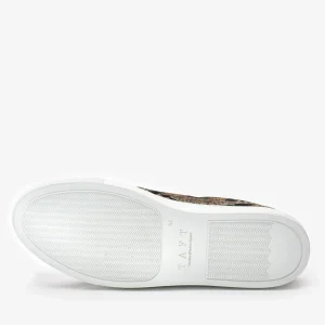 The Sneaker In Kashmir Multicolor Paisley Fabric | -TAFT Cheap